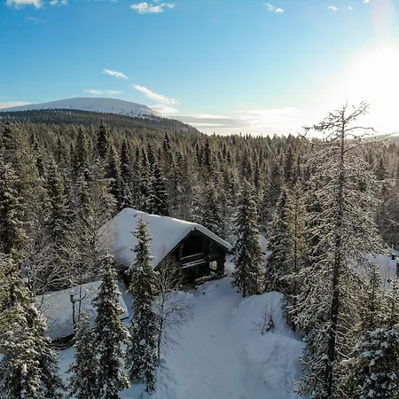 Ylläshilla *